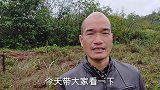 一种花期已过的蜜源植物，在我们这边现在还在开花，一年有几茬花