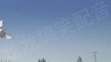 鹞子翻身？开车路上偶遇一只鸽子，利用车前气流翻身旋转