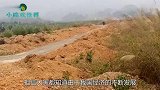 中国最任性的高速公路建一半不建了,如今人们开始在上面种田了