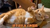 为了不让猫咪出门，我给它好好讲道理