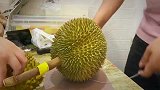 开榴莲盲盒，开出托曼尼六房，网友：金色传说！