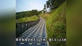 深圳又现“搓衣板式”减速带？网友称“可震碎结石”，官方回应