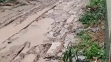 思考了一天，后天娶亲的时候怎么办