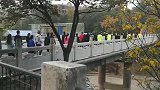 桥上多人齐步走！物理老师公园发现共振隐患 3支“暴走团”改道