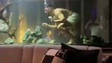 大鱼缸就是好随时都能游泳