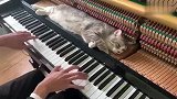 钢琴弹奏《哆啦A梦》主题曲给噬元兽按摩，哈哈这也太舒服了吧！