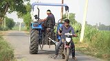 印度小哥给摩托车升级，变成4个轮子，网友：载20人不成问题！