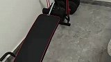 小鹰飞进室内，男子误以为是蝙蝠