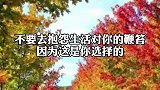【｜所以把握住当下的每一个机会，让自己拥抱未来】