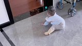 我家猫咪会带娃，这也太可爱了吧