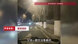 父母接儿子回家，开车转两圈也没发现，网友：别人撞衫你“撞树”