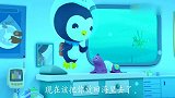 海底小纵队小滑溜找到了，皮医生给它包扎，小滑溜很开心