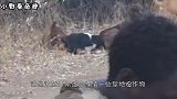 非洲人种不出粮食，怨太干旱了，中国人去后本地人懵圈了