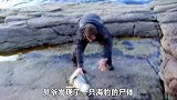 荒野求生，贝爷大海边徒手抓鱼，草原活剥羊皮吓哭摄影师！