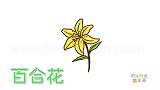 植物简笔画大全，画一只百合花简笔画
