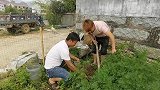 小伙挖蚯蚓钓鱼，小溪钓不到来鱼塘，被一条大草鱼直接拉断线
