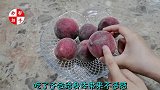 清洗桃子时，只需加点它，桃毛全部自动脱落，省时又省力