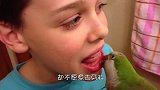 小男孩害怕拔牙，鹦鹉上前来帮忙，快得连麻药都不用