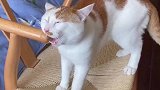 废话不多说，就是一个字啃