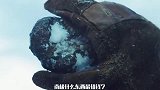 你捡的可能不是陨石，是别的东西