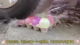 汽车碾压塑料手环实验