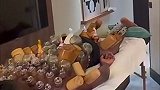 奥纳纳晒密集拔罐视频 网友：直接变刺猬了