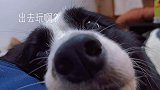 台风天不能出去玩，你凶我也没用啊