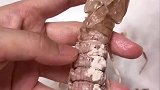 吃皮皮虾的小窍门来了，看完视频的你学会了吗？快去试试吧