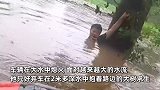 男子在2米多深水中抱树求生，把手机咬在嘴里，和消防共享位置获救