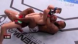 UFC-14年-UFC178副赛：霍华德vs艾博索勒集锦-精华
