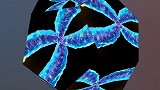 牛津科学家发现:龙虾自身细胞可无限翻新，理论上能达到永生，而人类细胞只能分裂＜60次要相信光 飞利浦照明