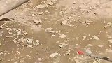 国外工地上拍下的一幕，拿枪的比拿锹的多