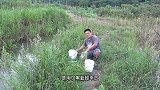 胖哥用蚯蚓放夜钓钩，收获了黑鱼，黄辣丁，翘嘴，今天又吃嘎嘎了