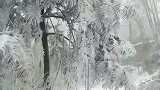 我们在回忆，回忆那冬天的雪景