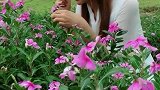 汉服姑娘走在花丛中闻花香，这笑的也太甜了，你有没有心动