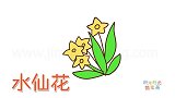 植物简笔画大全，画Q版水仙花简笔画