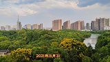 9月的湖南衡阳平湖公园：高温难耐，树叶泛黄，秋韵渐浓