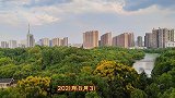 9月的湖南衡阳平湖公园：高温难耐，树叶泛黄，秋韵渐浓