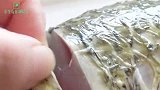 我家草鱼从不直接炖，教你新吃法，鱼块不散更入味，出锅一扫光