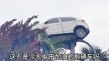 搞笑瞬间就想知道你是咋上去滴