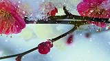 梅花心意雪亦知，滑落九天为情痴，思雪梅落三千瓣，融尽自生伴梅枝。雪中梅花 见者吉祥