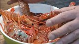 釜山海鲜市场，一虾两吃，生鲜和油炸你喜欢哪种？