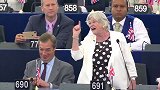 英国议员欧洲议会义愤演讲 声称脱欧就如同奴隶获得自由