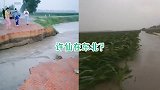 许仙在东北？松原暴雨成灾！路断了车丢了，玉米被迫俯卧撑
