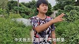 农田里有一窝小蝌蚪搁浅了，看着挺可怜的，让我帮一下它们吧