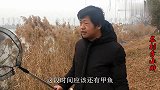 野湖结冰，小伙岸边逮甲鱼，无意发现大鱼冰下搁浅，破冰捞鱼过瘾