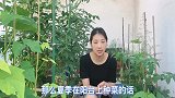 夏季高温，阳台种菜浇水的秘密，可谓是省水又促生长