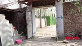 喜剧：老三给村妹制定减肥计划，不但没减掉反而增加了，结局真逗