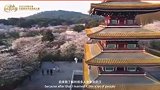 2025湖北省外国留学生短视频大赛展播《致湖北的告白》