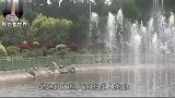 女娲庙发现了千年古墓，竟是“女娲真身”专家传言难道真的